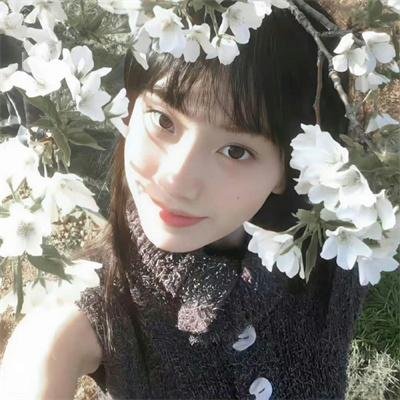 轮廓中的真相